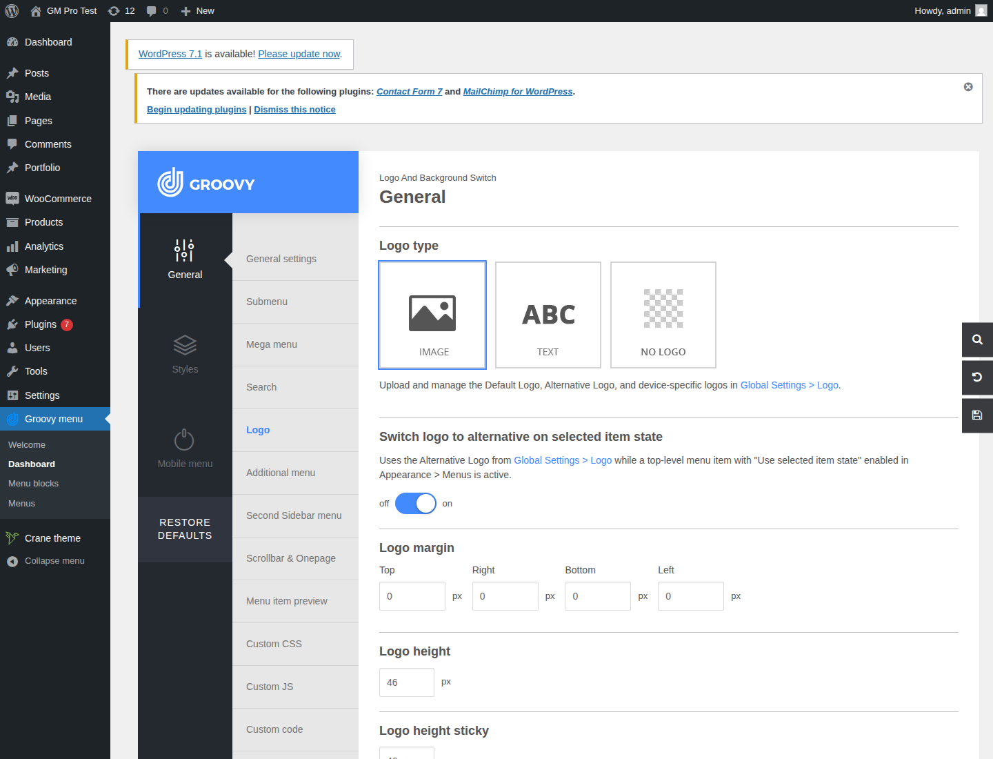 Classic preset General Logo settings with Image logo type and selected-item alternative logo switch enabled