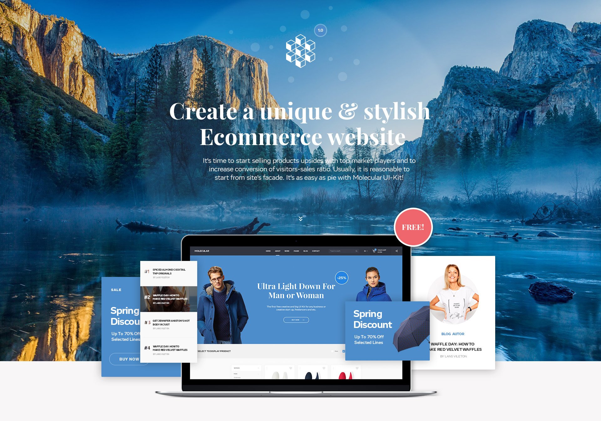 E-commerce Website Design with UI kit